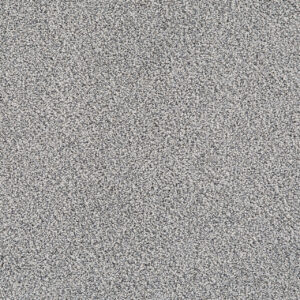 Dreamweaver Carpet Pretty Penny II Legacy Carpet 8260_4169