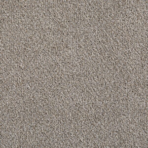 Dreamweaver Carpet Pretty Penny II Spotlight Carpet 8260_4334