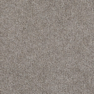 Dreamweaver Carpet Pretty Penny III Tiramisu Carpet 8275_4482