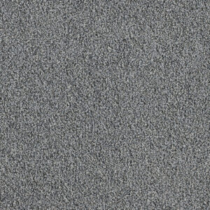 Dreamweaver Carpet Pretty Penny III Wonderland Carpet 8275_4599