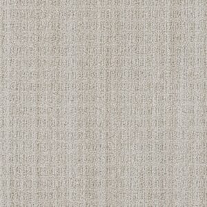Dreamweaver Carpet Windsor Via Bella Carpet 8615_8115