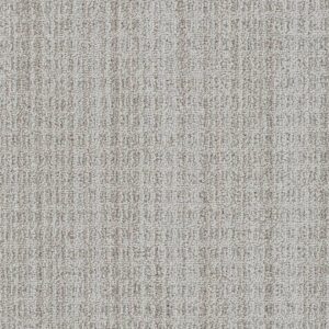 Dreamweaver Carpet Windsor Alta Carpet 8615_8116