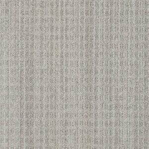 Dreamweaver Carpet Windsor Newbridge Carpet 8615_8158