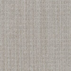 Dreamweaver Carpet Windsor Catalyst Carpet 8615_8208