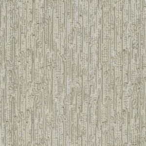 Dreamweaver Carpet Valter Point Break Carpet 8655_8153