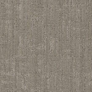 Dreamweaver Carpet Century II Mexicali Carpet 8740_2716