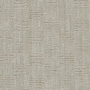 Dreamweaver Carpet Century II Virtue Carpet 8740_8151