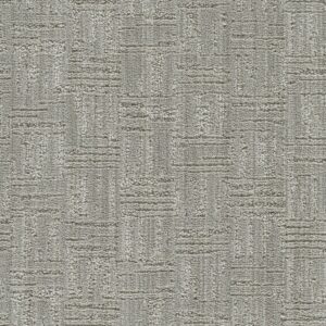 Dreamweaver Carpet Century II Bridgeton Carpet 8740_8174