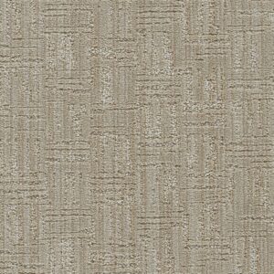 Dreamweaver Carpet Century II Media Carpet 8740_8212
