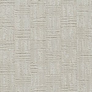 Dreamweaver Carpet Century II Classic Linen Carpet 8740_8247