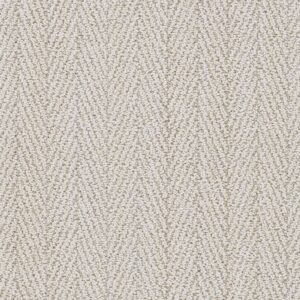 Dreamweaver Carpet San Lucas II Monterey Carpet 8741_6429