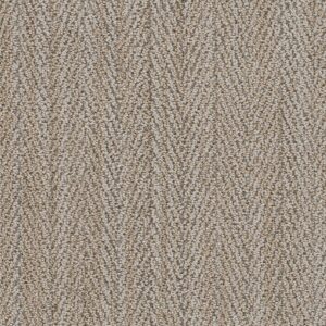 Dreamweaver Carpet San Lucas II Rancho Carpet 8741_8131