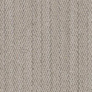 Dreamweaver Carpet San Lucas II El Camino Carpet 8741_8178
