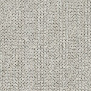 Dreamweaver Carpet Montreal II Cabra Carpet 8742_8043