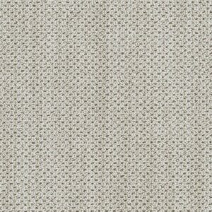 Dreamweaver Carpet Montreal II Via Bella Carpet 8742_8115