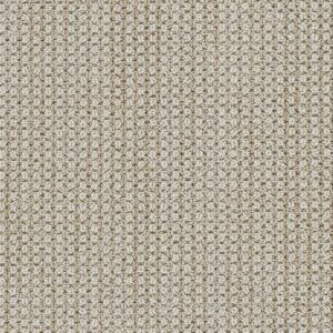 Dreamweaver Carpet Montreal II La Casa Carpet 8742_8211