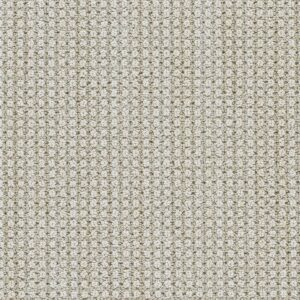 Dreamweaver Carpet Montreal II Lion's Bay Carpet 8742_8454