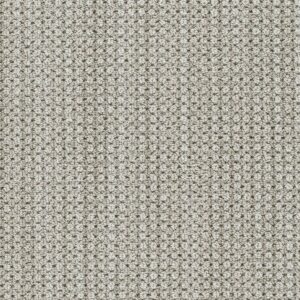 Dreamweaver Carpet Montreal II Shellbrook Carpet 8742_8580