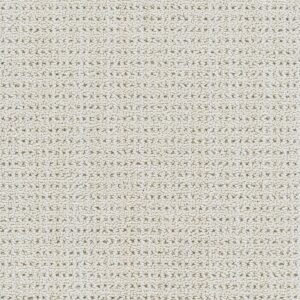 Dreamweaver Carpet Chelsea II Guild Street Carpet 8743_3925