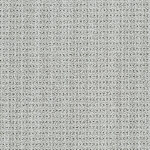Dreamweaver Carpet Chelsea II Windhaven Carpet 8743_3934