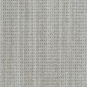 Dreamweaver Carpet Chelsea II Ash Meadow Carpet 8743_5086
