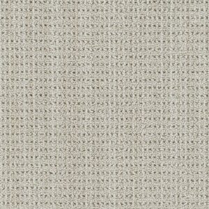Dreamweaver Carpet Chelsea II Knightstown Carpet 8743_8134