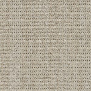 Dreamweaver Carpet Chelsea II La Casa Carpet 8743_8211
