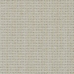 Dreamweaver Carpet Chelsea II Watch Tower Carpet 8743_8287