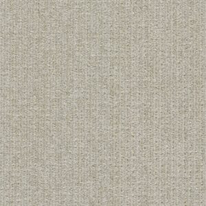 Dreamweaver Carpet Davos II Stepaside Carpet 8744_8070