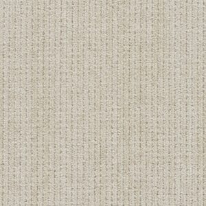 Dreamweaver Carpet Davos II Finish Line Carpet 8744_8176