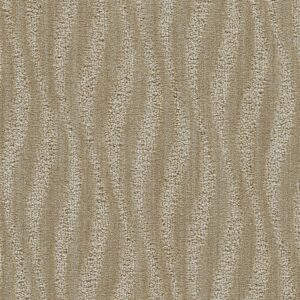Dreamweaver Carpet Mojave II Senna Carpet 8745_5279