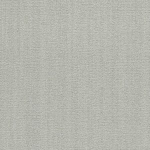 Dreamweaver Carpet Aberdeen II Rain Shadow Carpet 8746_5092