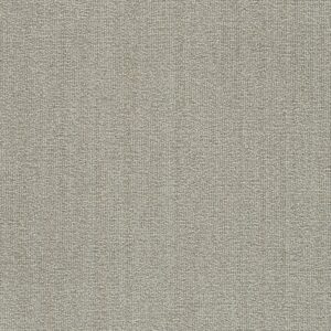 Dreamweaver Carpet Aberdeen II Amargosa Carpet 8746_5294