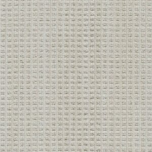 Dreamweaver Carpet Dublin II Merino Carpet 8747_2703