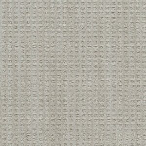 Dreamweaver Carpet Dublin II Tweel Carpet 8747_3915