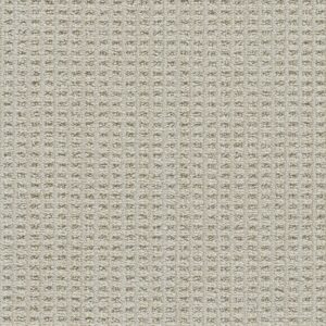 Dreamweaver Carpet Dublin II Dundrum Carpet 8747_8187