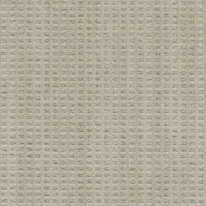 Dreamweaver Carpet Dublin II Deerpark Carpet 8747_8278