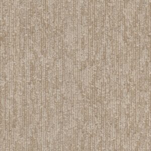 Dreamweaver Carpet Baja II Prairie Grove Carpet 8748_8120