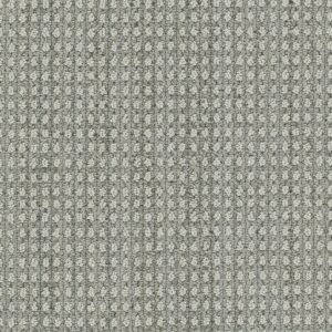 Dreamweaver Carpet Brunswick Desert Moon Carpet 8753_8028