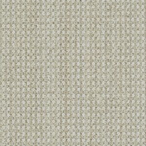 Dreamweaver Carpet Brunswick Shifting Sands Carpet 8753_8060