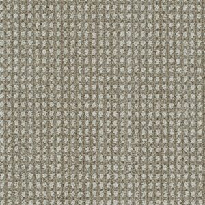 Dreamweaver Carpet Brunswick Shetland Carpet 8753_8081