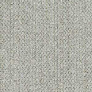 Dreamweaver Carpet Brunswick Still Waters Carpet 8753_8105