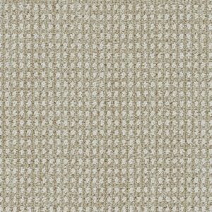 Dreamweaver Carpet Brunswick Natural Glow Carpet 8753_8129