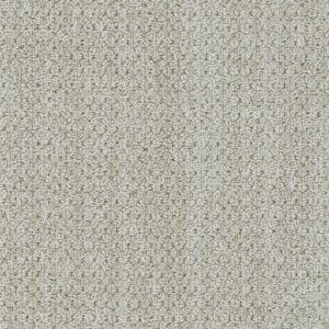 Dreamweaver Carpet Brunswick Organic Carpet 8753_8141