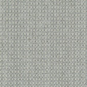 Dreamweaver Carpet Brunswick Cozy Night Carpet 8753_8223