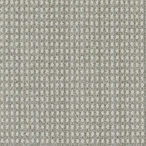Dreamweaver Carpet Brunswick Dew Drops Carpet 8753_8274