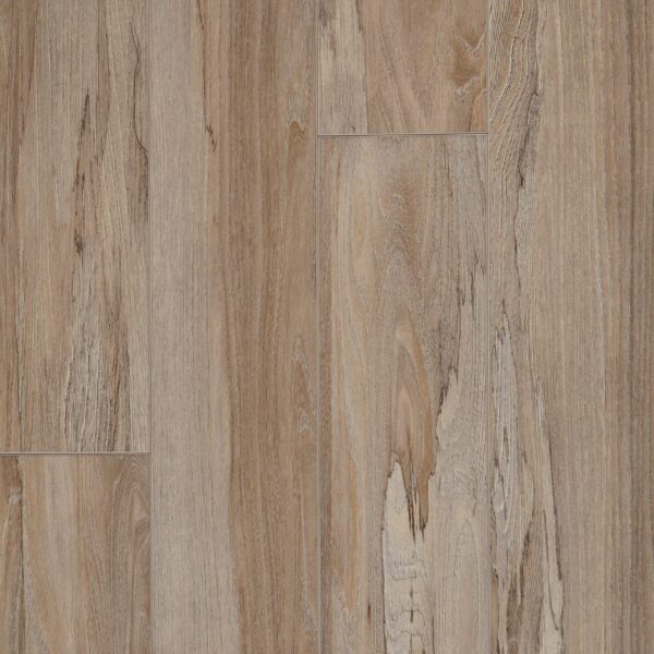 Mannington AduraAPEX Spalted Wych Elm Wild Flower 8" APX022