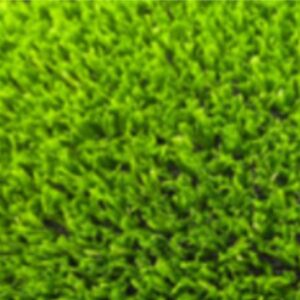 Value Carpets Grass Special Bermuda