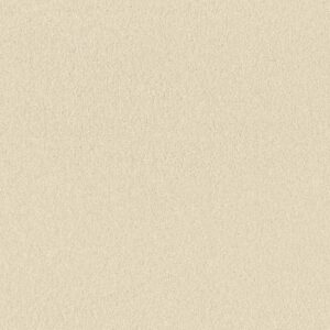 Anderson Tuftex Carpet Cashmere Classic I Icelandic 00100_CCS68