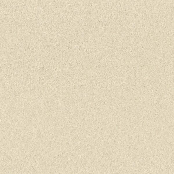 Anderson Tuftex Carpet Cashmere Classic I Icelandic 00100_CCS68